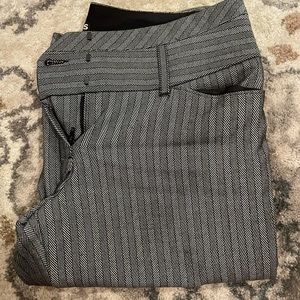 Express Editor Pants